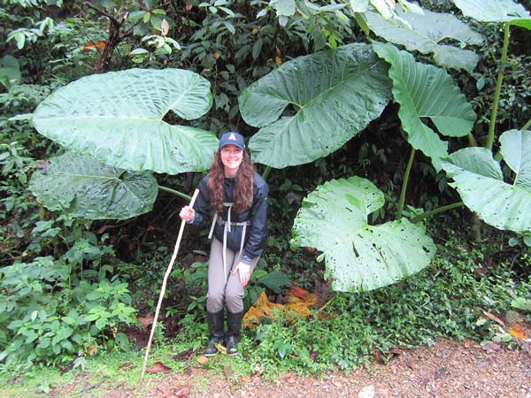 Ecuador-web